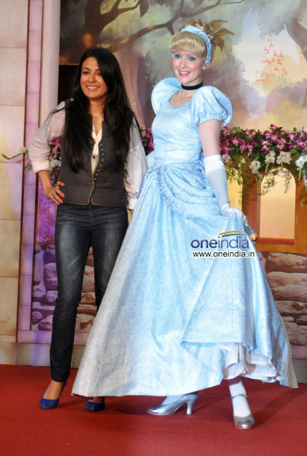 Cinderella Professional Website Disney Films Cinderella Professional Website Disney Films